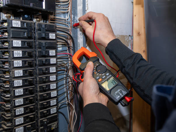 Best Ceiling Fan Installation Electrician  in Burkesville, KY