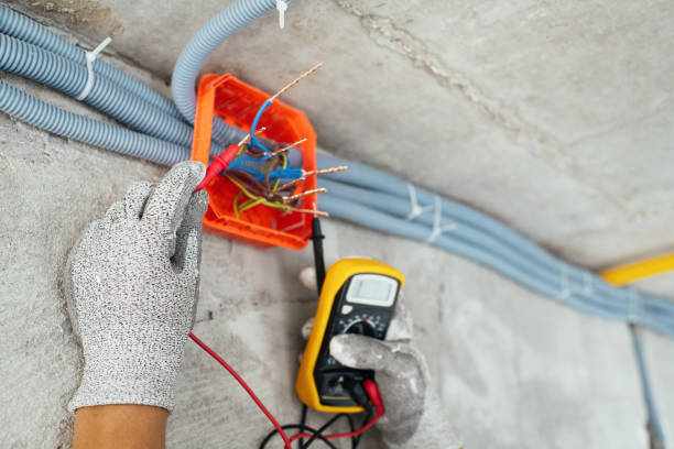 Best Electrical System Inspection  in Burkesville, KY